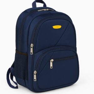 Navy Blue bag